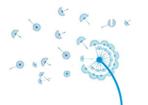 攜手長(zhǎng)春網(wǎng)站建設(shè)，打造企業(yè)專屬的數(shù)字化門(mén)戶